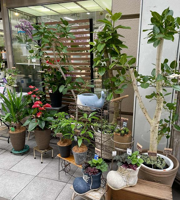 高知の花屋 池田生花店 高知の花屋 池田生花店